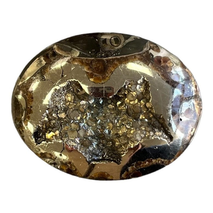 Pyritisierter Ammonit, AM_P035, Cabochon-Schliff, 46x35x9 mm; 22,8 g;