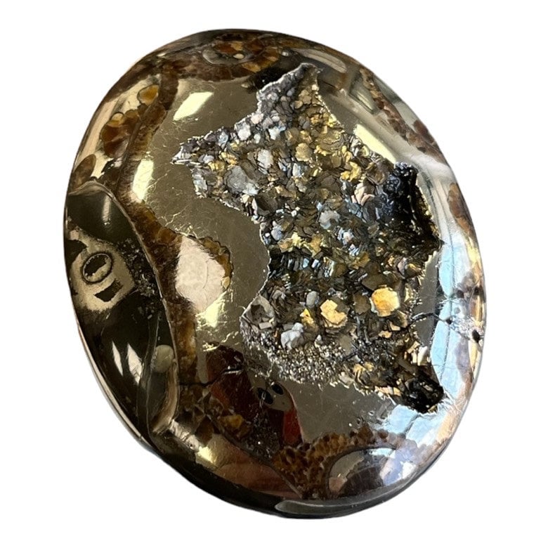 Pyritisierter Ammonit, AM_P035, Cabochon-Schliff, 46x35x9 mm; 22,8 g;