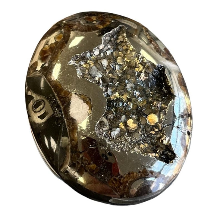 Pyritisierter Ammonit, AM_P035, Cabochon-Schliff, 46x35x9 mm; 22,8 g;