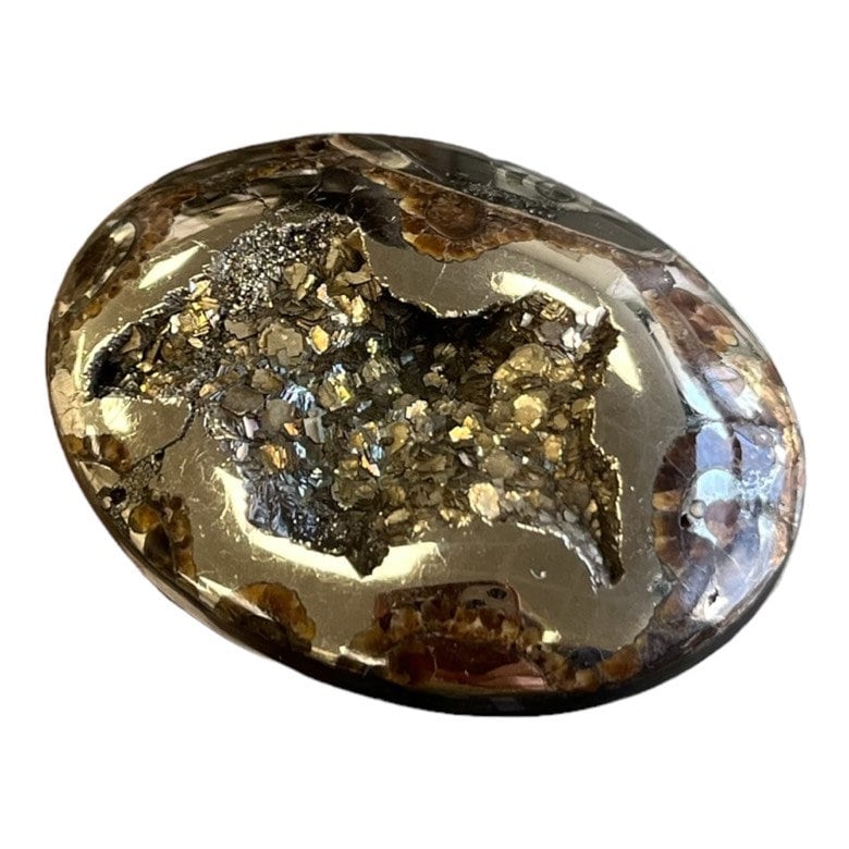 Pyritisierter Ammonit, AM_P035, Cabochon-Schliff, 46x35x9 mm; 22,8 g;