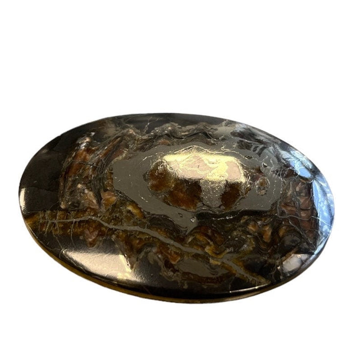 Ammonite pyritisée, AM_P062, taille cabochon, 65x42x6 mm; 33.9g;