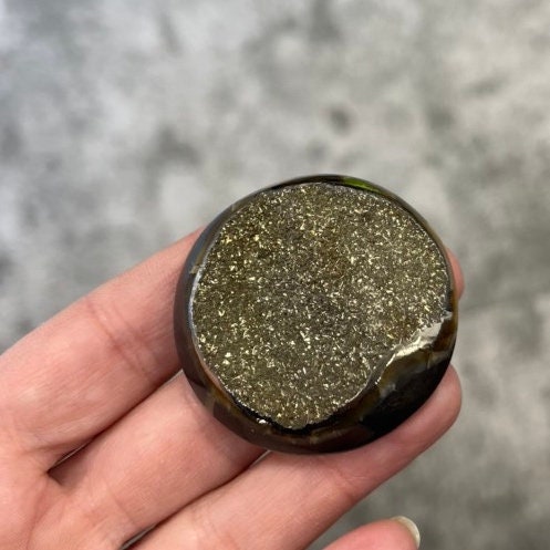 Pyritisierter Ammonit, AM_P008, Cabochongröße, 44 x 44 x 12 mm; 32 g;