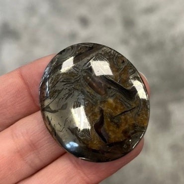 Pyritized ammonite, AM_P050, cabochon cut, 40x35x7 mm; 16.2g;