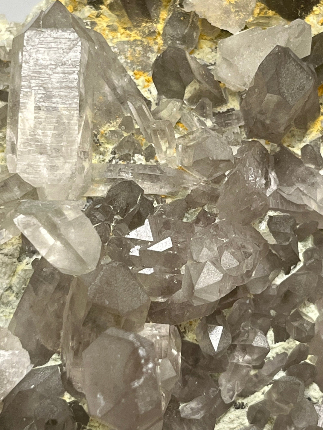 Rauchquarz und Citrin, Saint André d'Embrun, Alpen, Frankreich, DR253