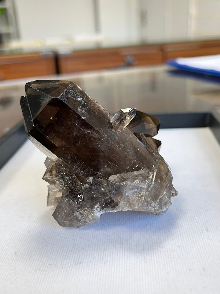 Quartz fumé bidéterminé Brésil QTZ31