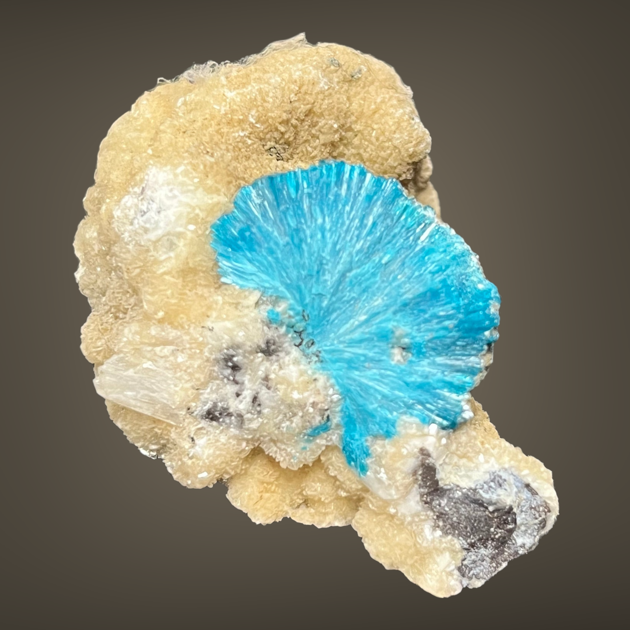 Cavansite Wagholi Inde DW21