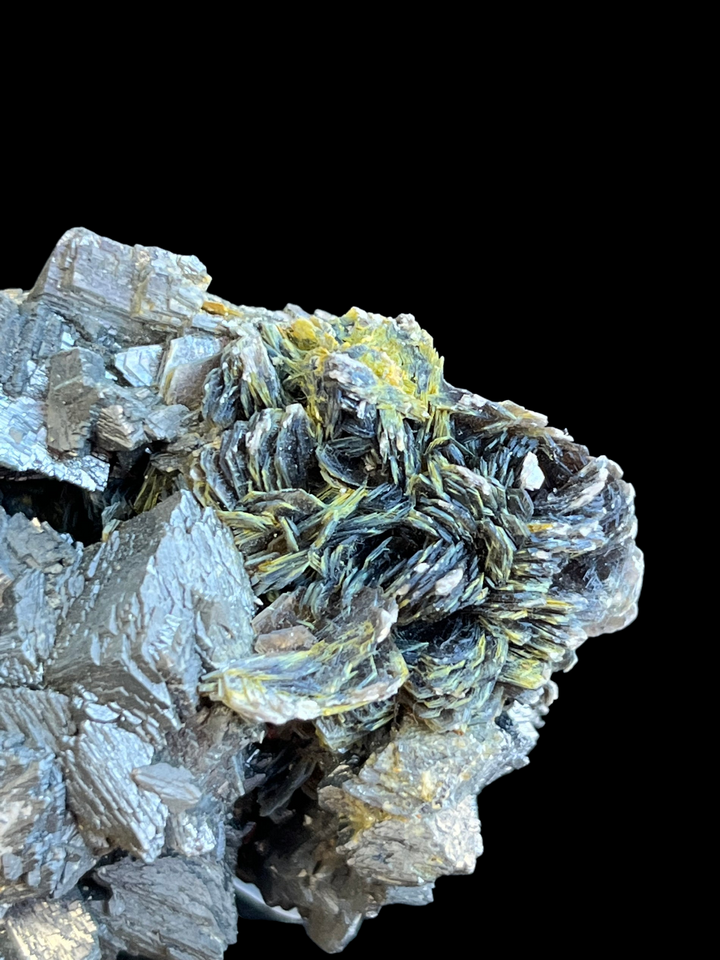 Arsénopyrite, Muscovite Panasqueiras Portugal PNQ12