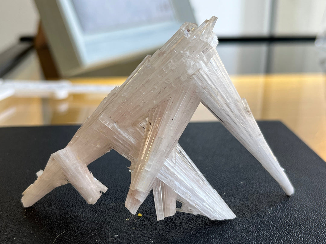 Scholastic India DW7