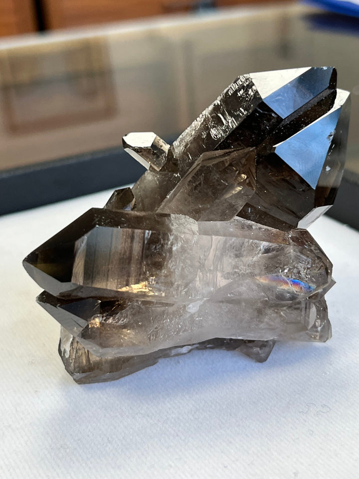 Quartz fumé bidéterminé Brésil QTZ31