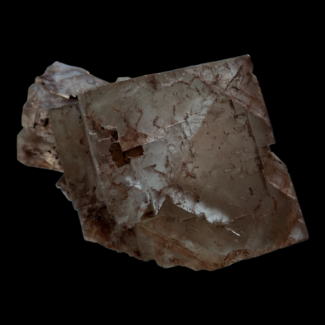 Fluoritmine Clara, Deutschland DA59