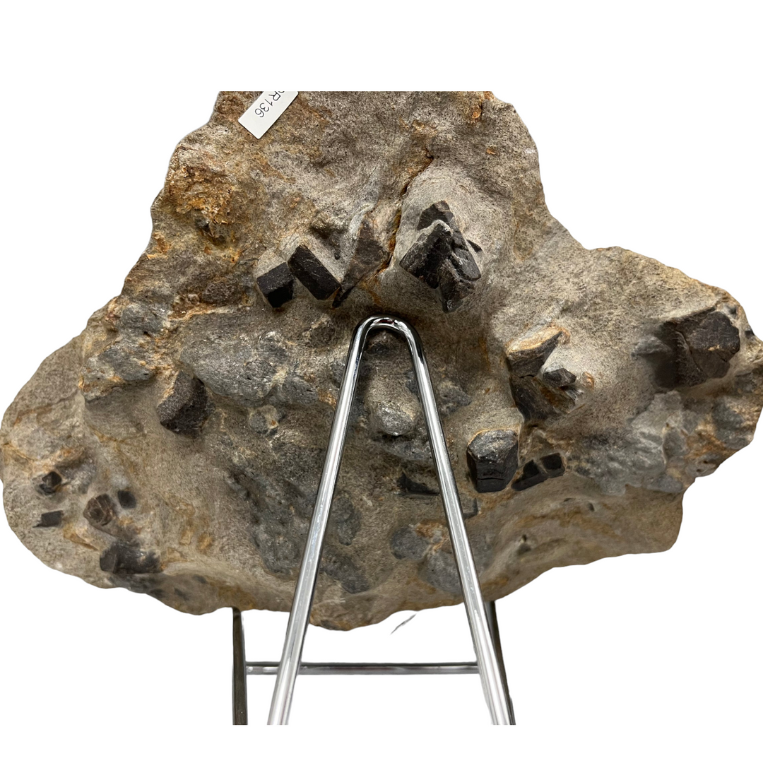 Staurolith Staurotid in Schiefer Coray Frankreich DR136