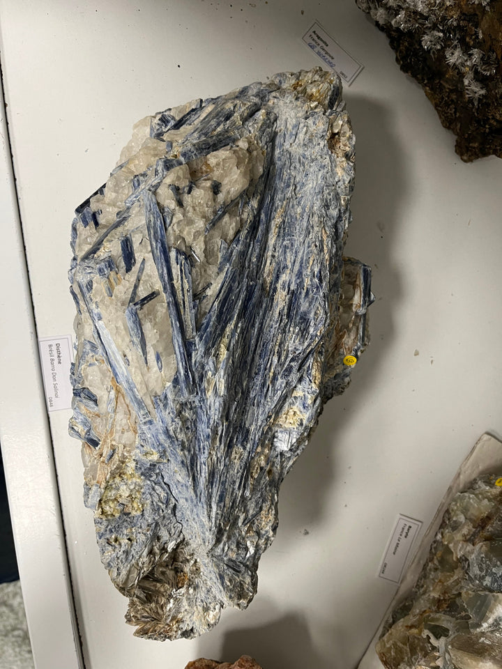 Disthène Brésil 9,6 kg