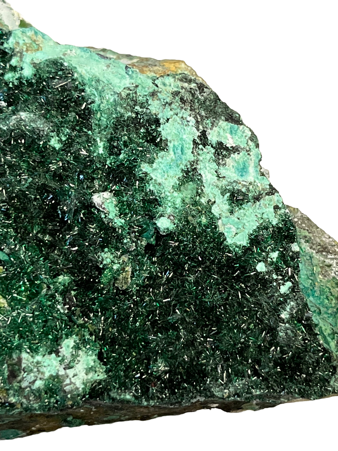 Chrysocolla Atacamite Chile DR59