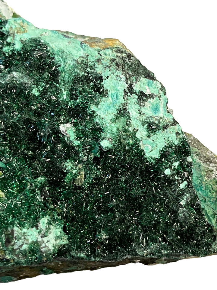 Chrysocolla Atacamite Chile DR59