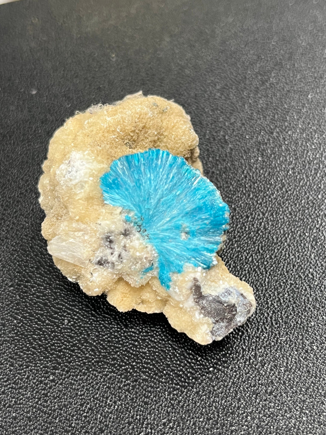 Cavansite Wagholi Inde DW21