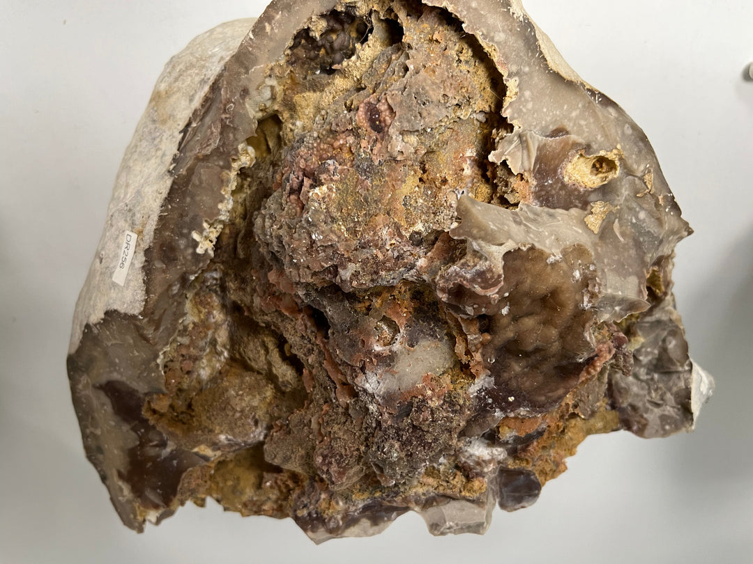 Chalcedony geode, Pacy-sur-Eure, France DR256