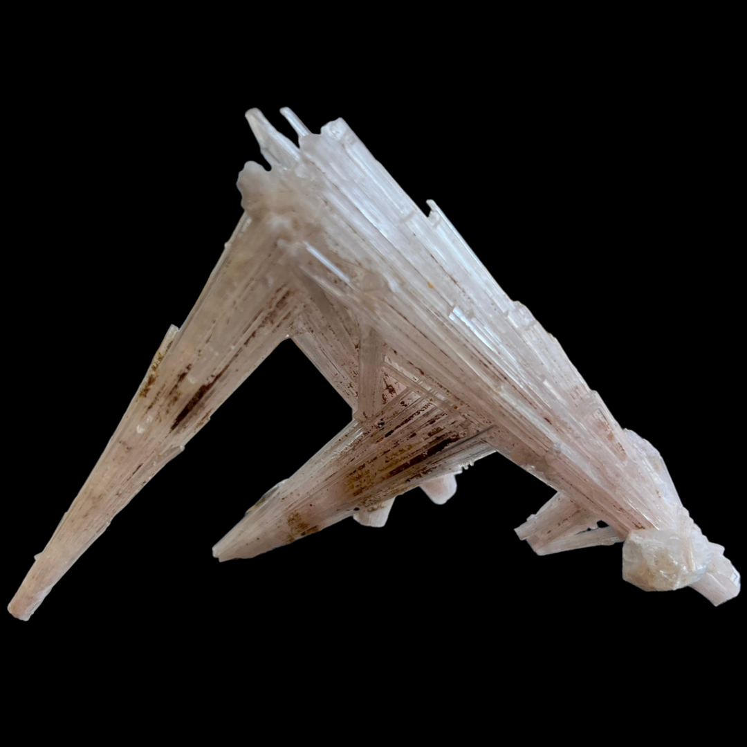 Scholastic India DW7