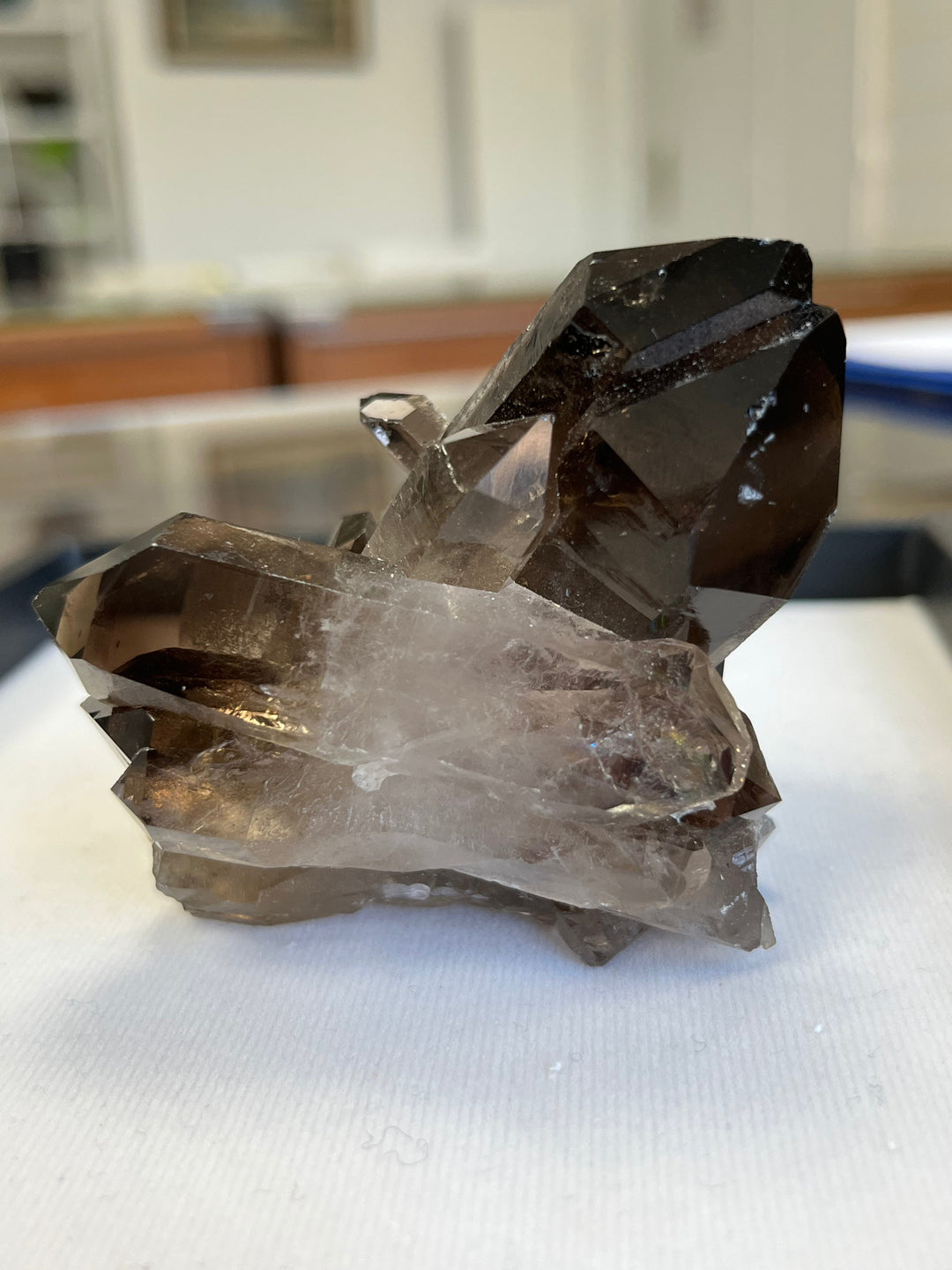 Quartz fumé bidéterminé Brésil QTZ31