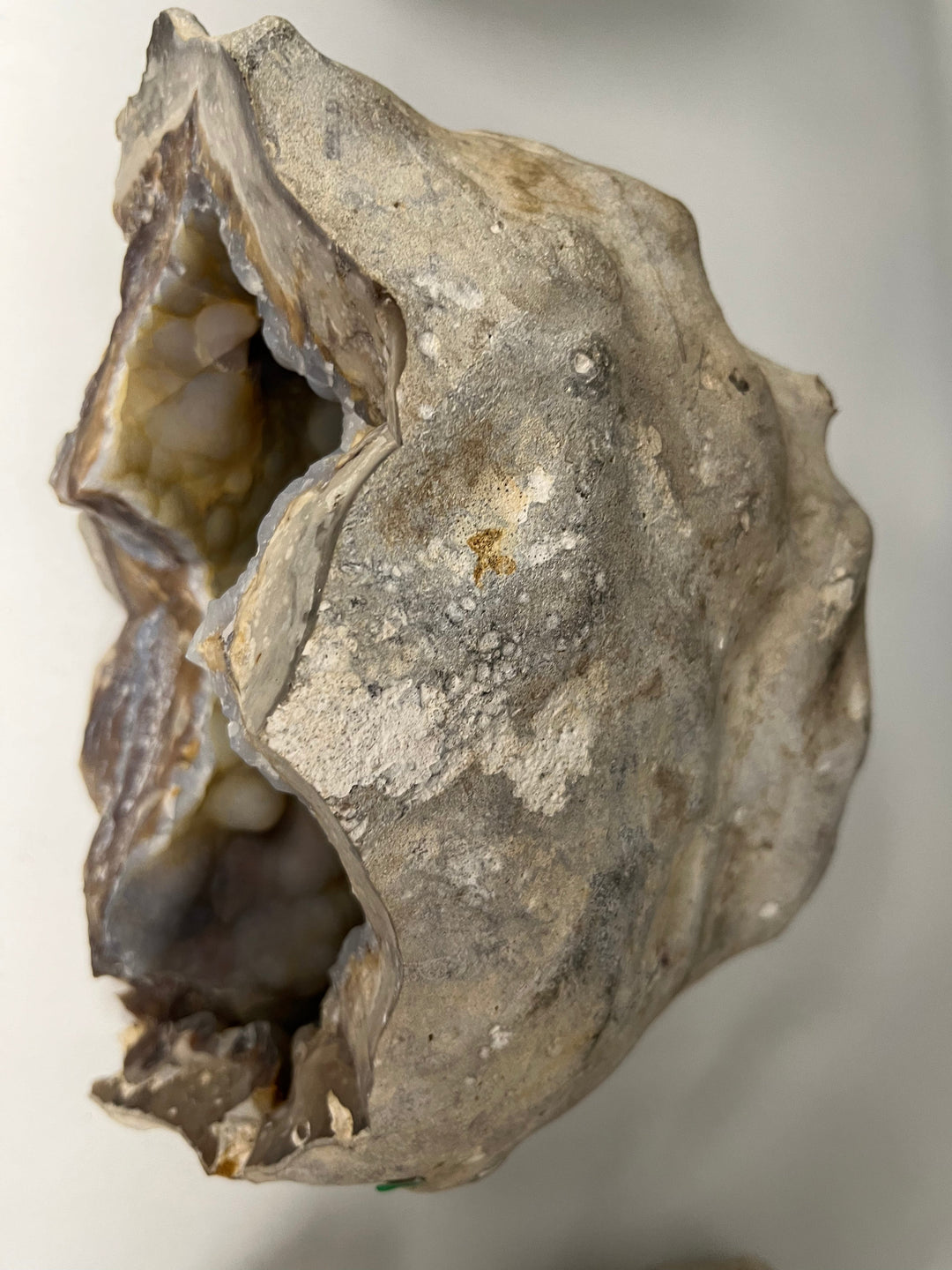 Chalcedony geode, Pacy-sur-Eure, France DR256