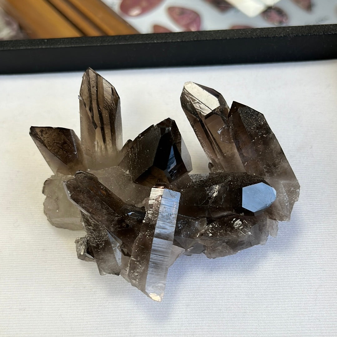 Brazilian Smoky Quartz QTZ19