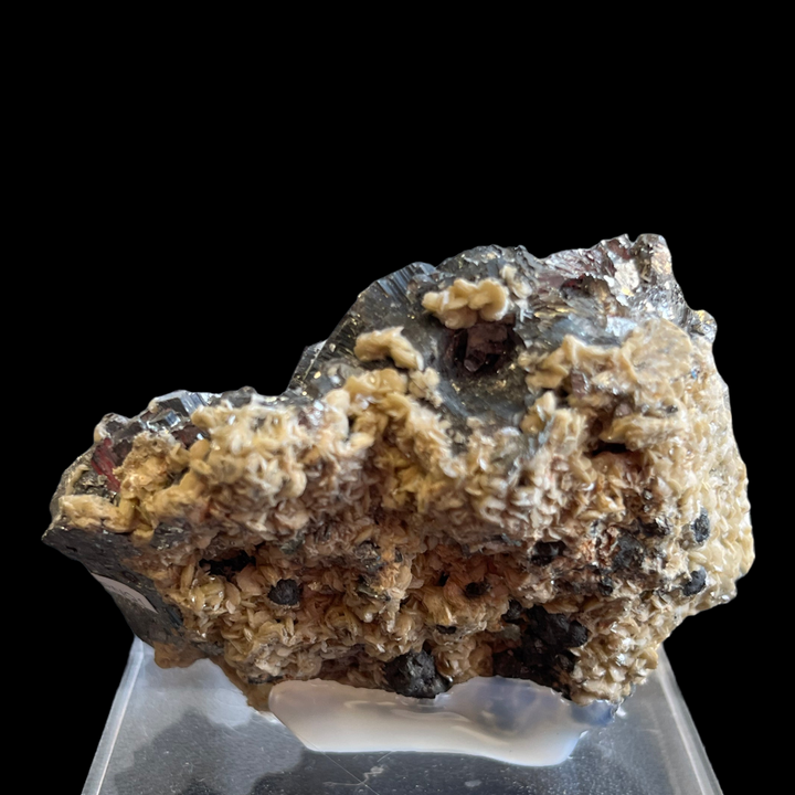Arsenopyrite siderite Panasqueiras Portugal PNQ1