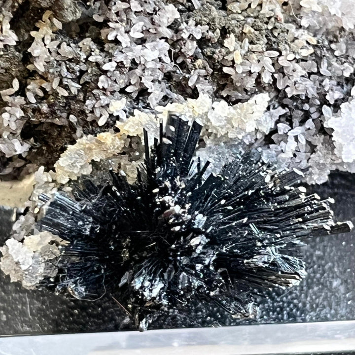 Stibnite on berthierite quartz, Romania DA134
