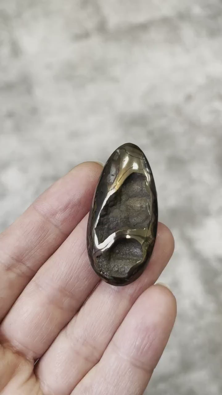 Pyritisierter Ammonit, AM_P051, Cabochongröße, 42x20x8 mm; 9,4 g;