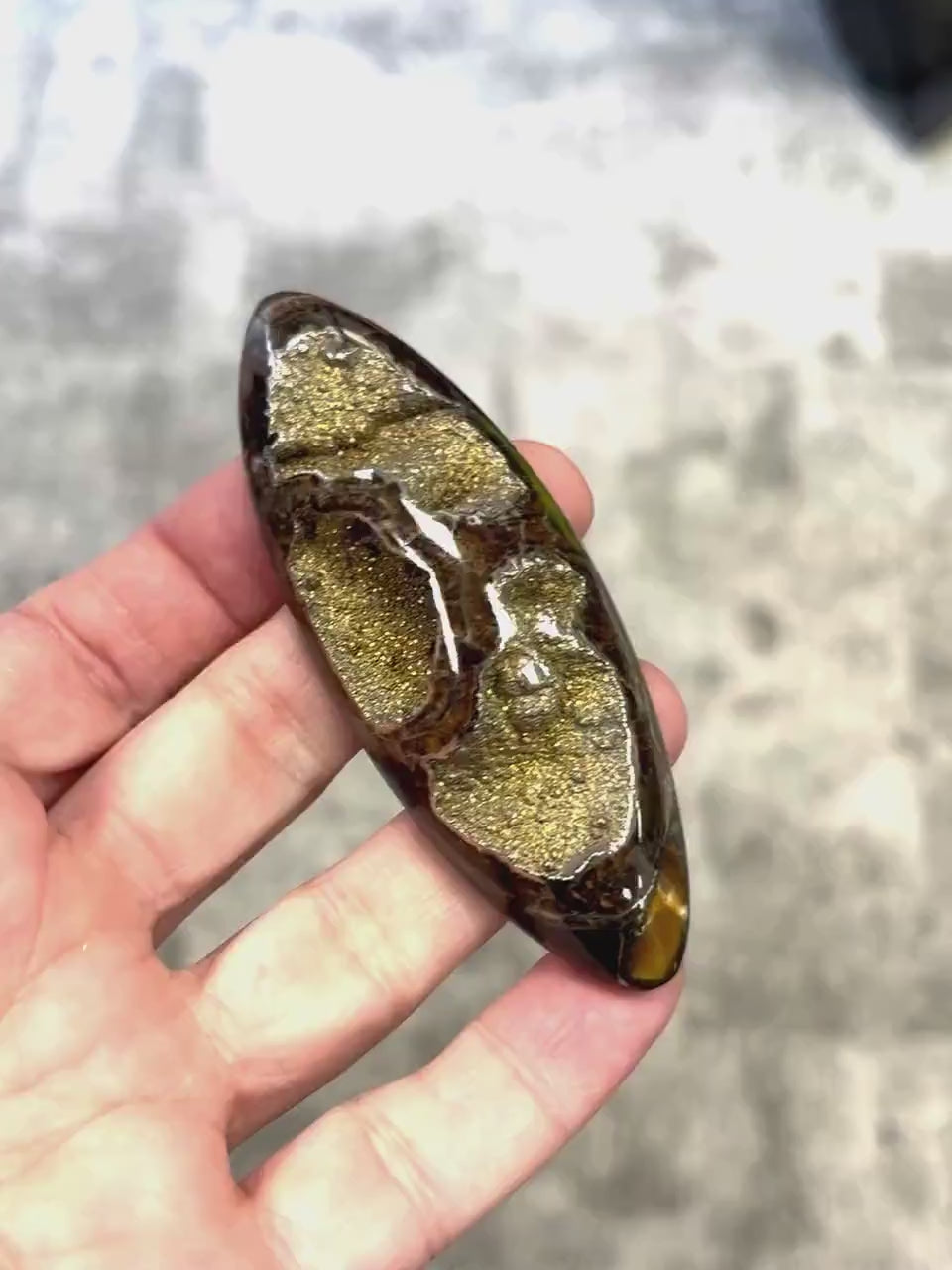 Ammonite pyritisée, AM_P063, taille cabochon, 84x30x15 mm; 42g;