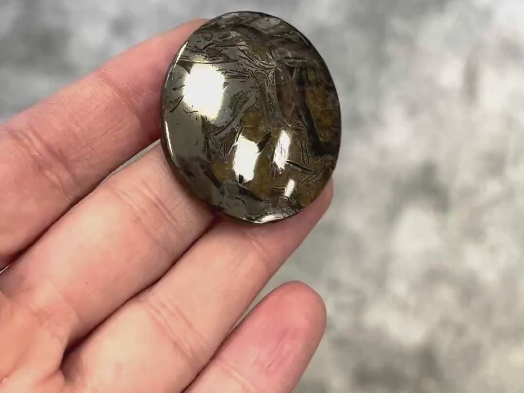 Pyritized ammonite, AM_P050, cabochon cut, 40x35x7 mm; 16.2g;