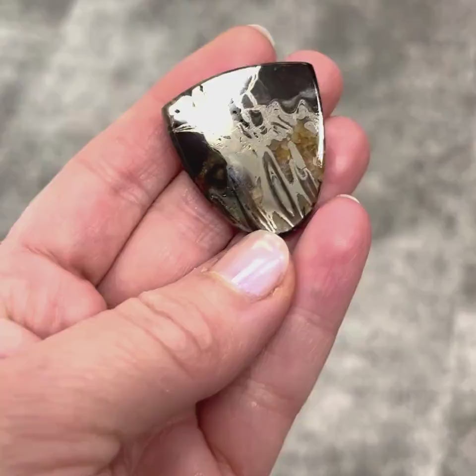 Pyritisierter Ammonit, AM_P048, Cabochon-Schliff, 33 x 30 x 5 mm; 11,7 g