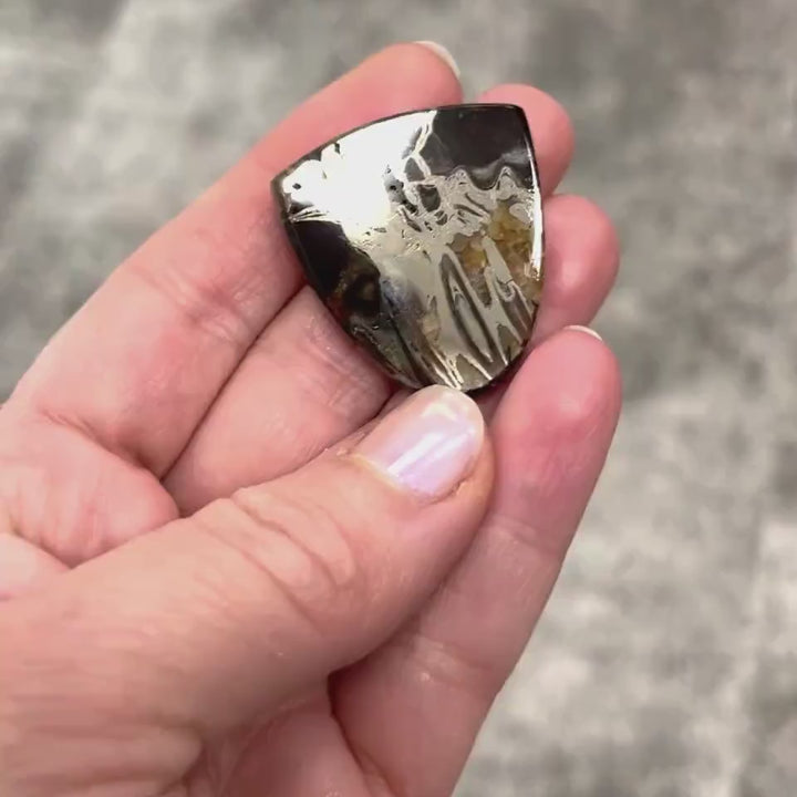 Pyritisierter Ammonit, AM_P048, Cabochon-Schliff, 33 x 30 x 5 mm; 11,7 g