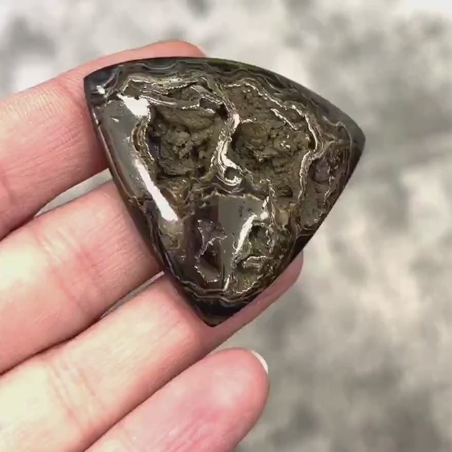 Pyritisierter Ammonit, AM_P070, Cabochon-Schliff, 48x43x9 mm; 19 g;