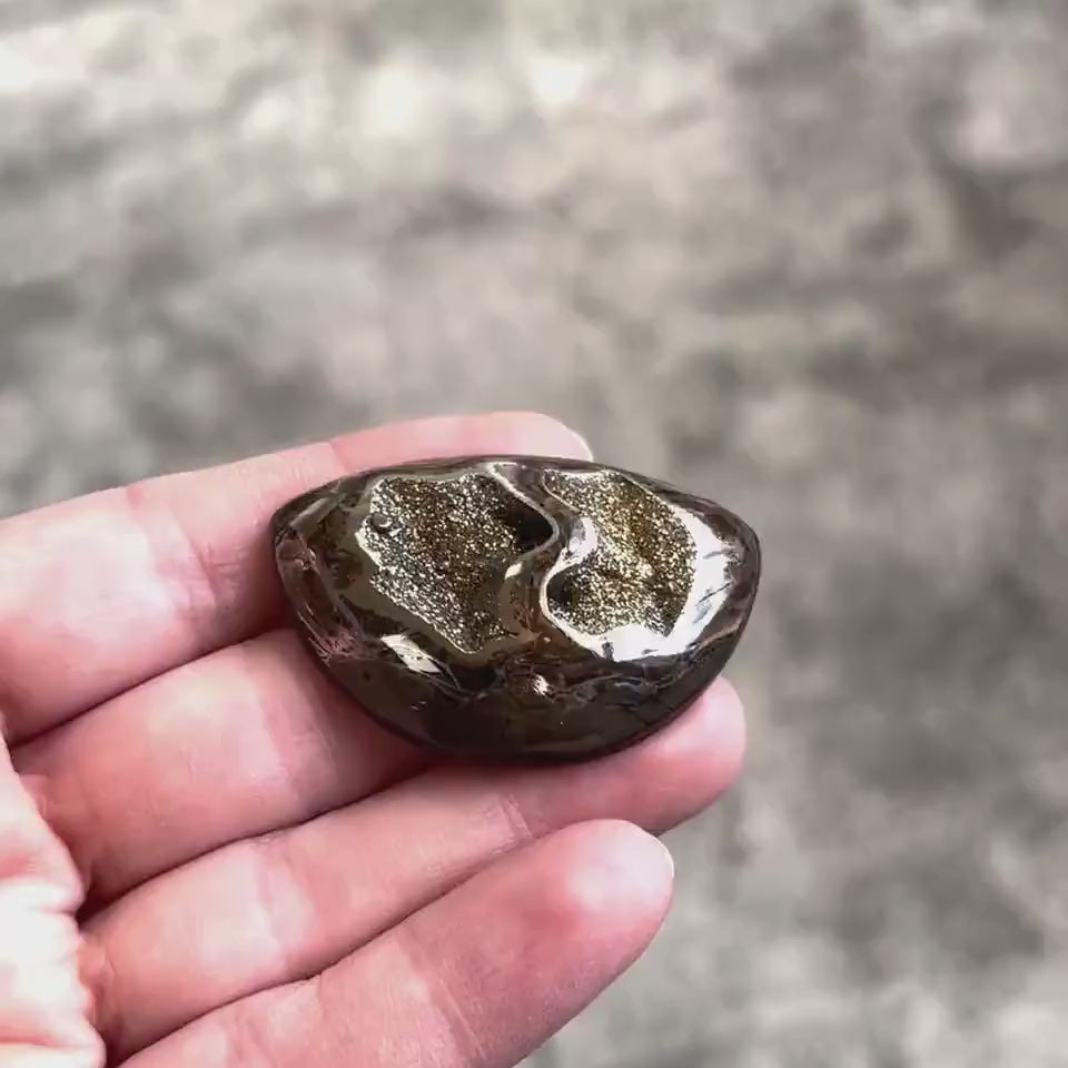 Pyritisierter Ammonit, AM_P038, Cabochongröße, 45x30x10 mm; 17,4 g;