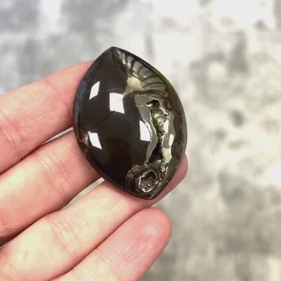 Pyritized ammonite, AM_P075, cabochon cut, 46x33x8 mm; 19g;