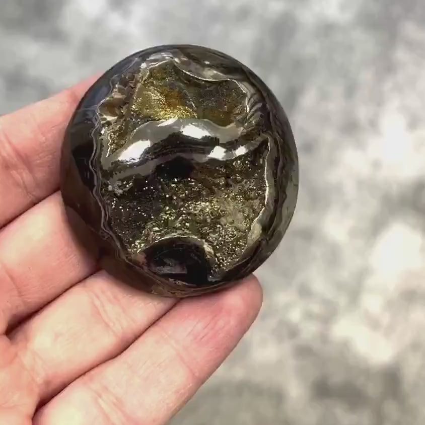 Pyritisierter Ammonit, AM_P057, Cabochongröße, 48x45x15 mm; 40,4 g;