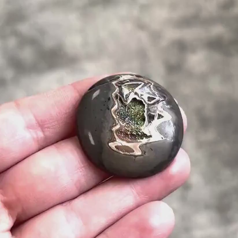 Pyritisierter Ammonit, AM_P090, Cabochon-Schliff, 35x35x7 mm; 13 g;