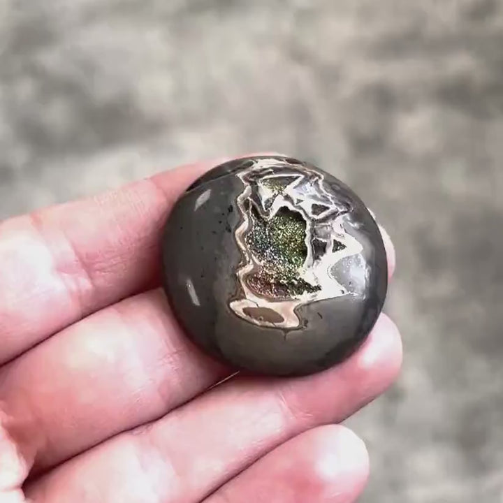 Pyritisierter Ammonit, AM_P090, Cabochon-Schliff, 35x35x7 mm; 13 g;