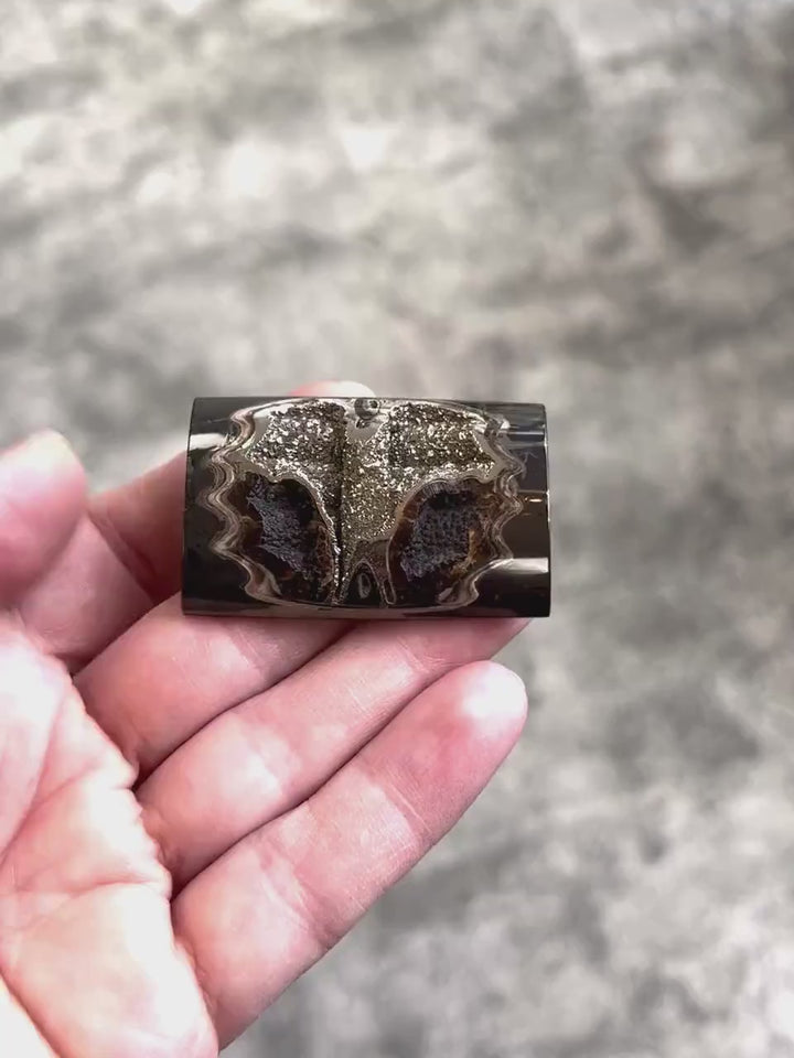 Pyritisierter Ammonit, AM_P037, Cabochongröße, 46x30x9 mm; 23,6 g;