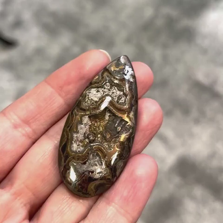 Ammonite pyritisée, AM_P046, taille cabochon, 52x25mm; 12 g