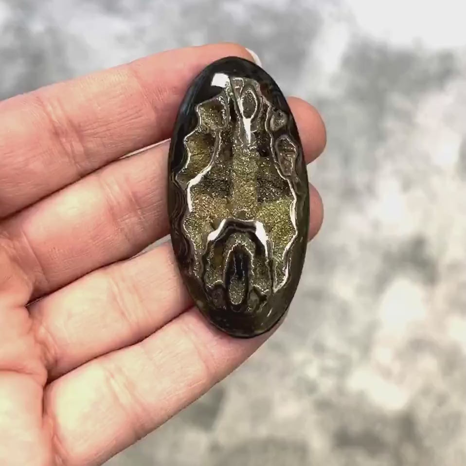 Ammonite pyritisée, AM_P069, taille cabochon, 54x27x7  mm; 13.1g;