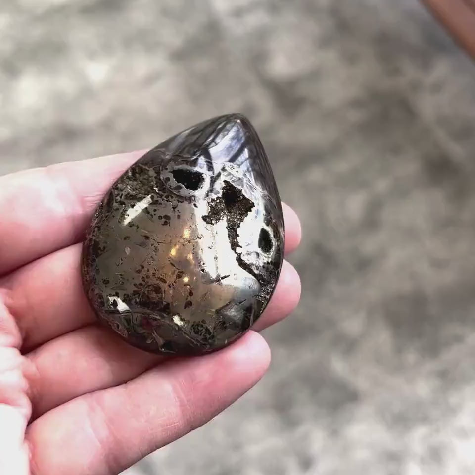 Ammonite pyritisée, AM_P021, taille cabochon, 61x41x10 mm; 37g;