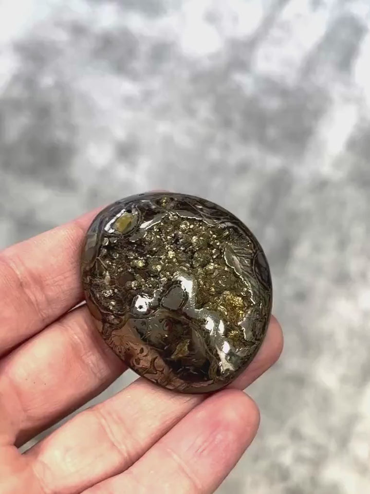 Pyritized ammonite, AM_P067, cabochon cut, 47x39x11mm; 29.3g;