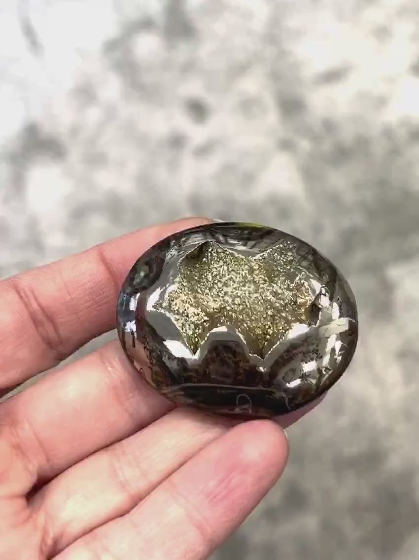 Pyritisierter Ammonit, AM_P064, Cabochon-Schliff, 46x37x10 mm; 26,8 g;