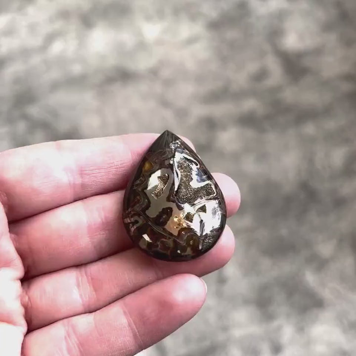 Pyritisierter Ammonit, AM_P030, Cabochon-Schliff, 42x29x7 mm; 12,3 g;