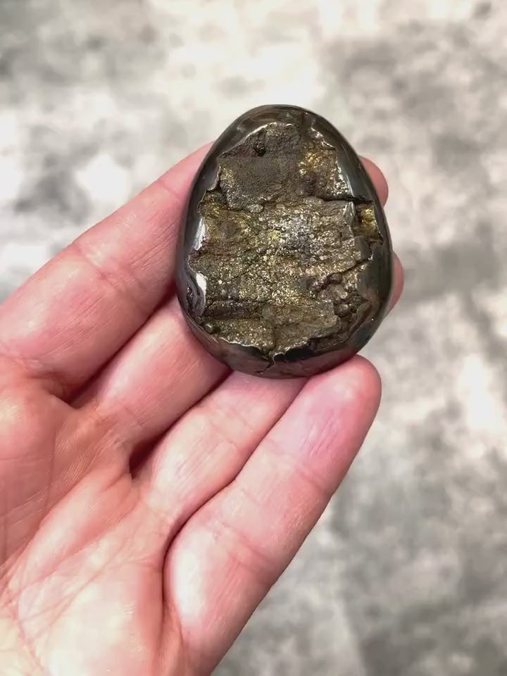 Pyritisierter Ammonit, AM_P020, Cabochon-Schliff, 49x39x11 mm; 43,5 g;