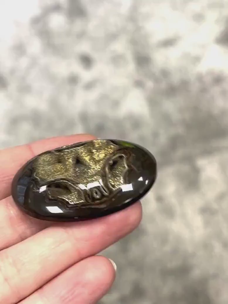 Pyritisierter Ammonit, AM_P039, Cabochon-Schliff, 45x32x9 mm; 16 g;