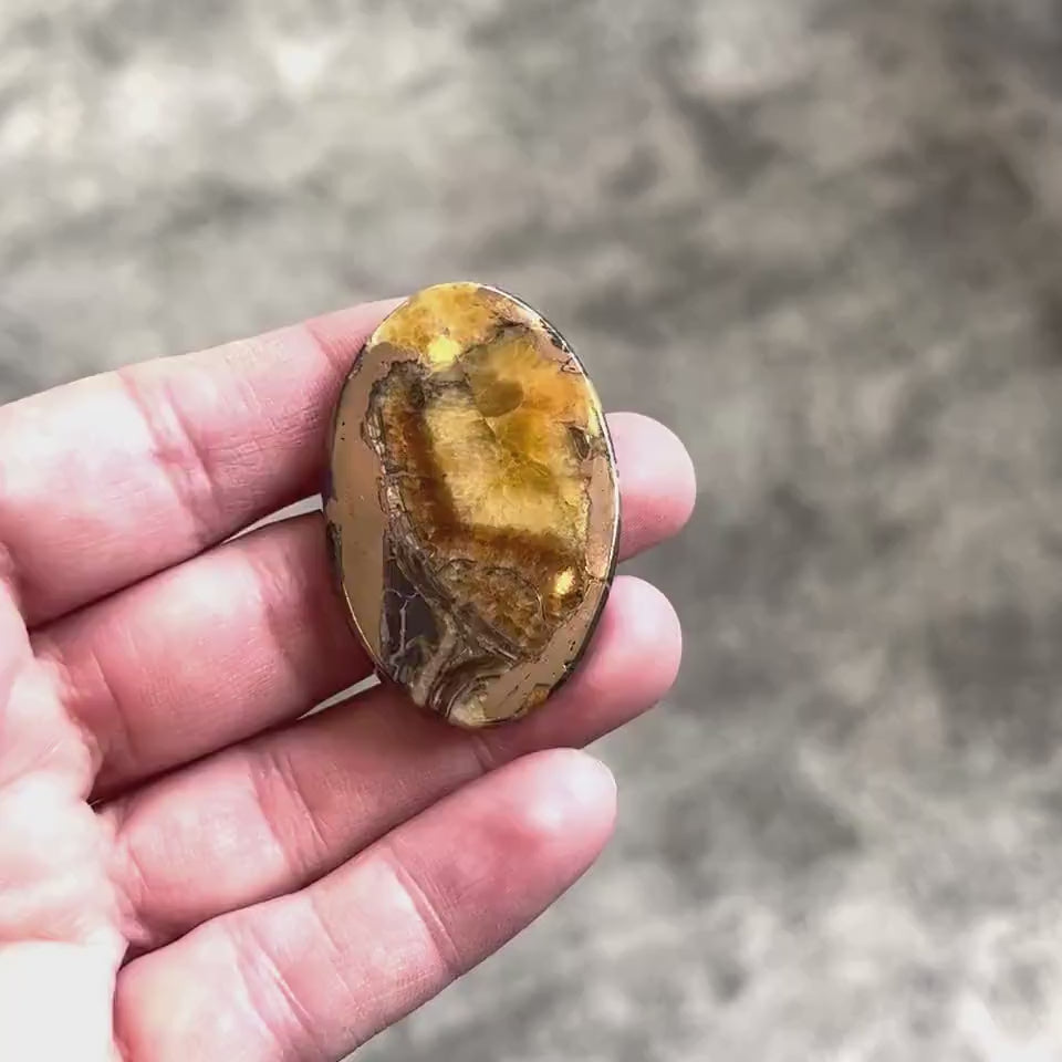 Pyritized ammonite, AM_P044, cabochon cut, 44x29x5 mm; 15g;