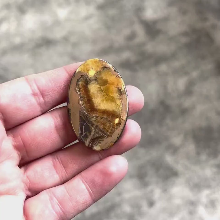 Pyritized ammonite, AM_P044, cabochon cut, 44x29x5 mm; 15g;