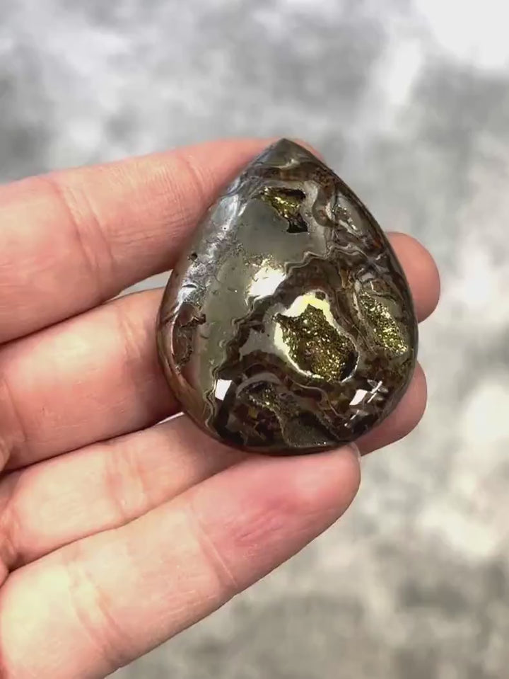 Pyritisierter Ammonit, AM_P080, Cabochongröße, 50x36x10 mm; 27,6 g;